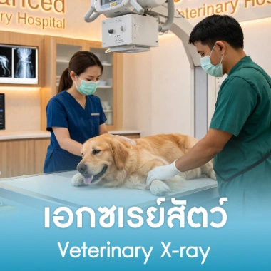 เอกซเรย์สัตว์