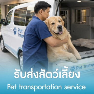 รับส่งสัตว์เลี้ยง