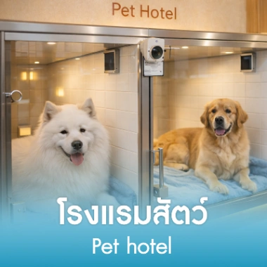 โรงแรมสัตว์