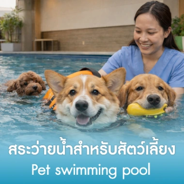 สระว่ายน้ำสำหรับสัตว์เลี้ยง