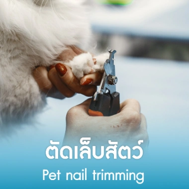 ตัดเล็บสัตว์