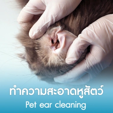 ทำความสะอาดหูสัตว์