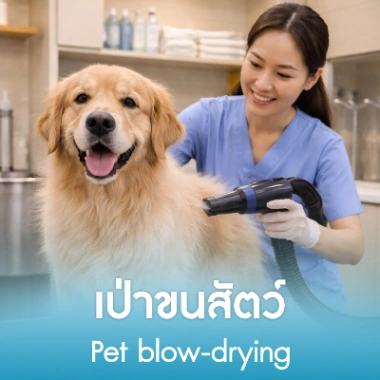 เป่าขนสัตว์