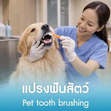 แปรงฟันสัตว์