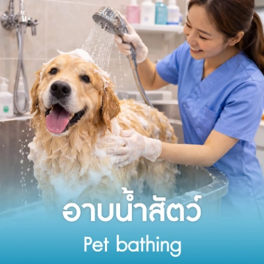 อาบน้ำสัตว์