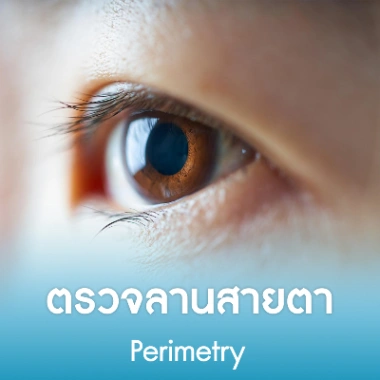 ตรวจลานสายตา